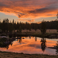 Riverside Reflections.jpg