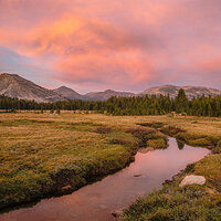 Tuolumne at Peace.jpg