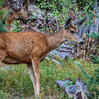 200810-14132-5DS R.jpg