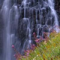 Watering the Flowers.jpg