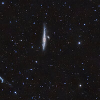 LRCC_sRGB_FW_NGC4631_LRGB_LRGBC_HT_ACDNR.jpg