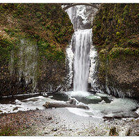 Multnomah in Winter