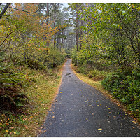 Ft. Stevens Trails