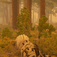 Bathing in Ghosts.jpg