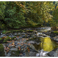 Cedar Creek