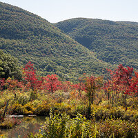 Beginning of Autumn in the Green Mountains 2