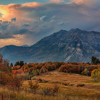 200922-14361-5DS R.jpg