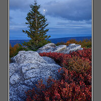 Moon Over Bear Rocks.jpg