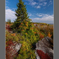 Foliage Waterfall Mountain Ash.jpg