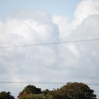 _DSC2821-1 entire.jpg