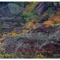 Red Rock Fall Leaves