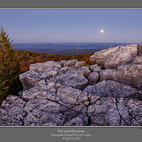 Harvest Moonrise.jpg