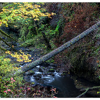 North Fork Trail