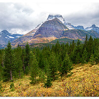 Ptarmigan Trail