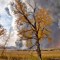 LRCC_CalWoodFire_sRGB_FW_TAP46934_5_6.jpg