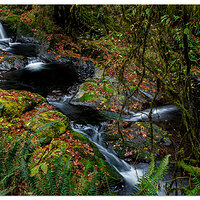 Anise Falls
