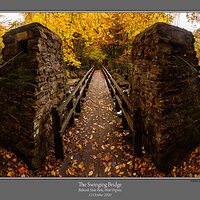 Swinging Bridge.jpg