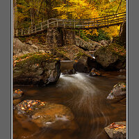 Lower Swinging Bridge Babcock.jpg