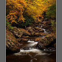 Glade Creek Babcock V.jpg