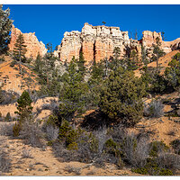 Moss Cave Trail