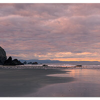 Morning at the Beach