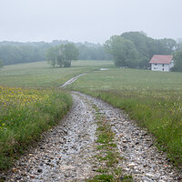 Country Paths II