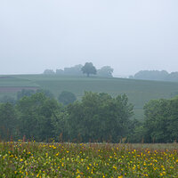 Fog on the Plateau