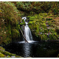 Sweet Creek Falls