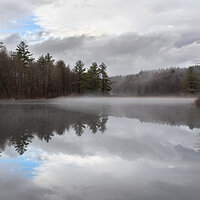 Fog on the pond 2