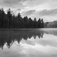 Fog on the pond 3