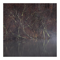 Marsh's Edge (color)
