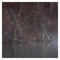 Marsh's Edge