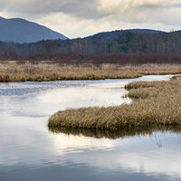 Cloudy Day at the Marsh