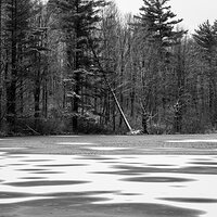 Frozen Pond II