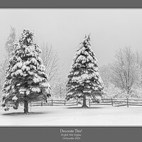 Fenceline Snow BW Cr2.jpg