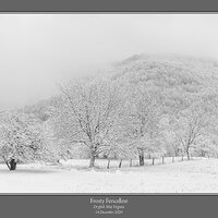 Fenceline Snow BW.jpg
