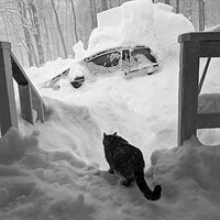 20201217_PXL_20201217_134040802_AmyEarl.jpg