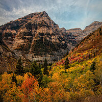 201002-14521-5DS R - Copy.jpg