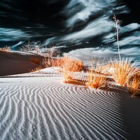 Lines in the Sand