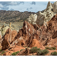 Cottonwood Canyon