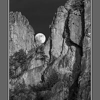 Lunar Gunsight II-1 BW.jpg