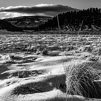 Valle Caldera