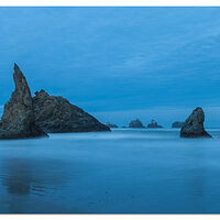 Blue Bandon