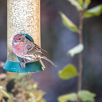 LRCC_sRGB_TAP_0064.jpg
