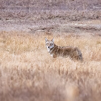 LRCC_sRGB_TAP_0654.jpg