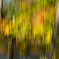 LRCC_sRGB_FW_IMG_1076.jpg