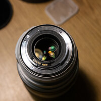 LRCC_sRGB_TAP_3628.jpg