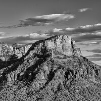 LRCC_sRGB_PSCC_TAP09680_B&W.jpg