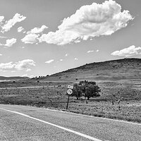 HWY 78 2019