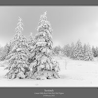 Sentinels Bald Knob Winter.jpg